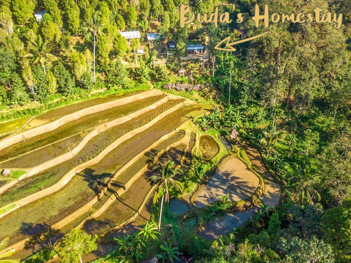 Buda'S Homestay Lemukih Buleleng  Екстер'єр фото