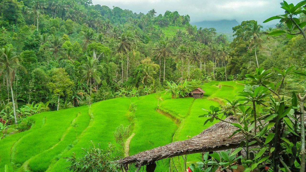 Buda'S Homestay Lemukih Buleleng  Екстер'єр фото
