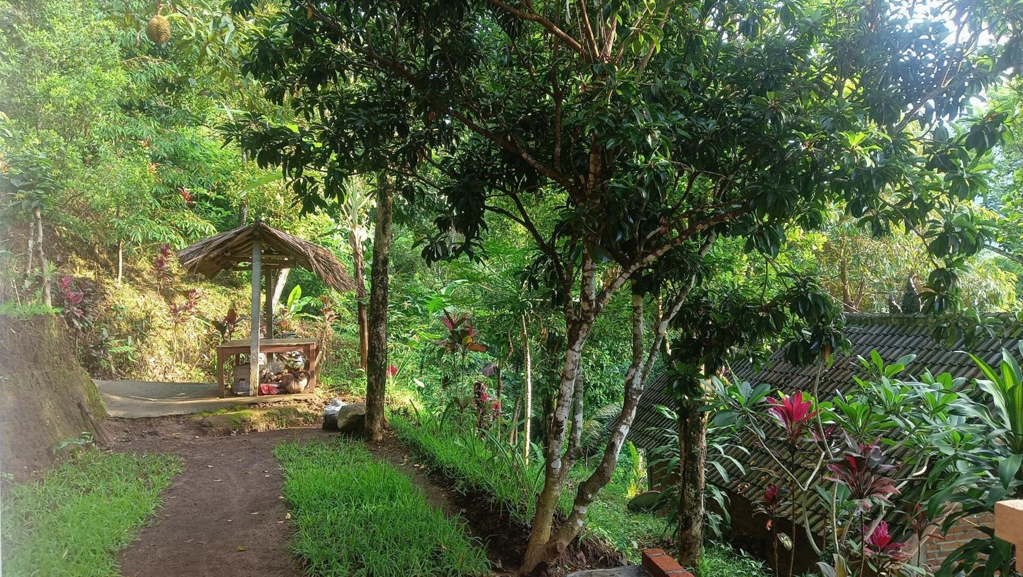 Buda'S Homestay Lemukih Buleleng  Екстер'єр фото